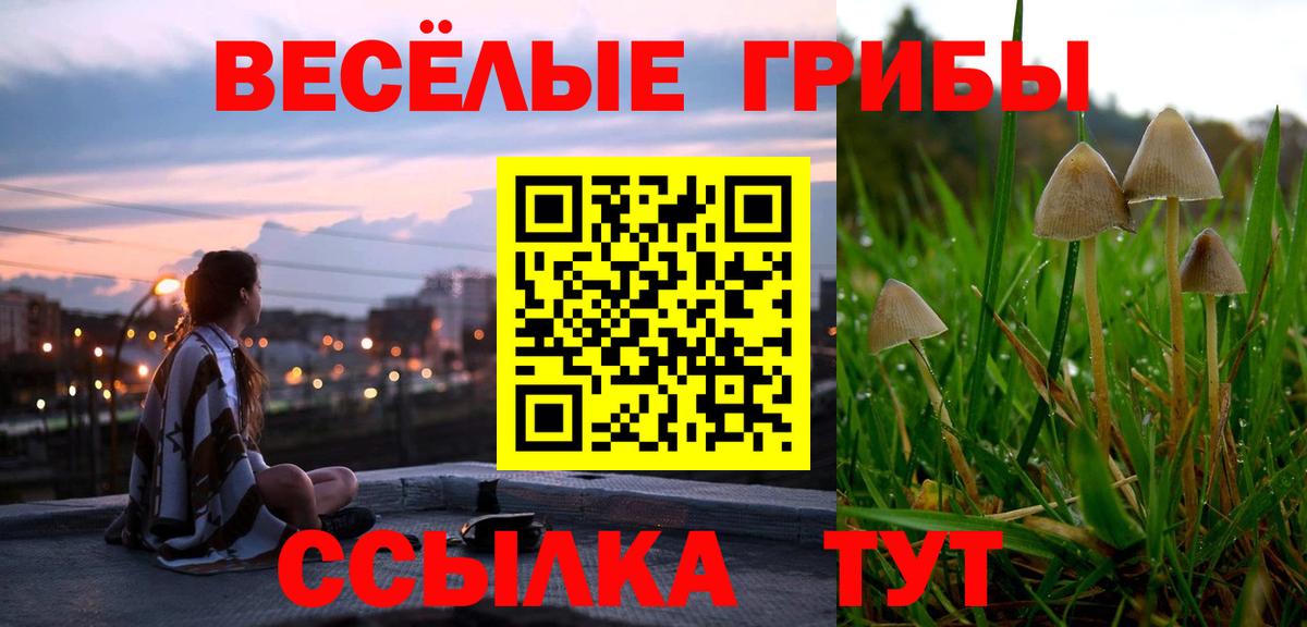 Галлюциногенные грибы прущие грибы  Вход с VPN  Медногорск 